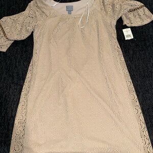 Rabbit Designs Crochet Lace Shift Dress in Beige 14